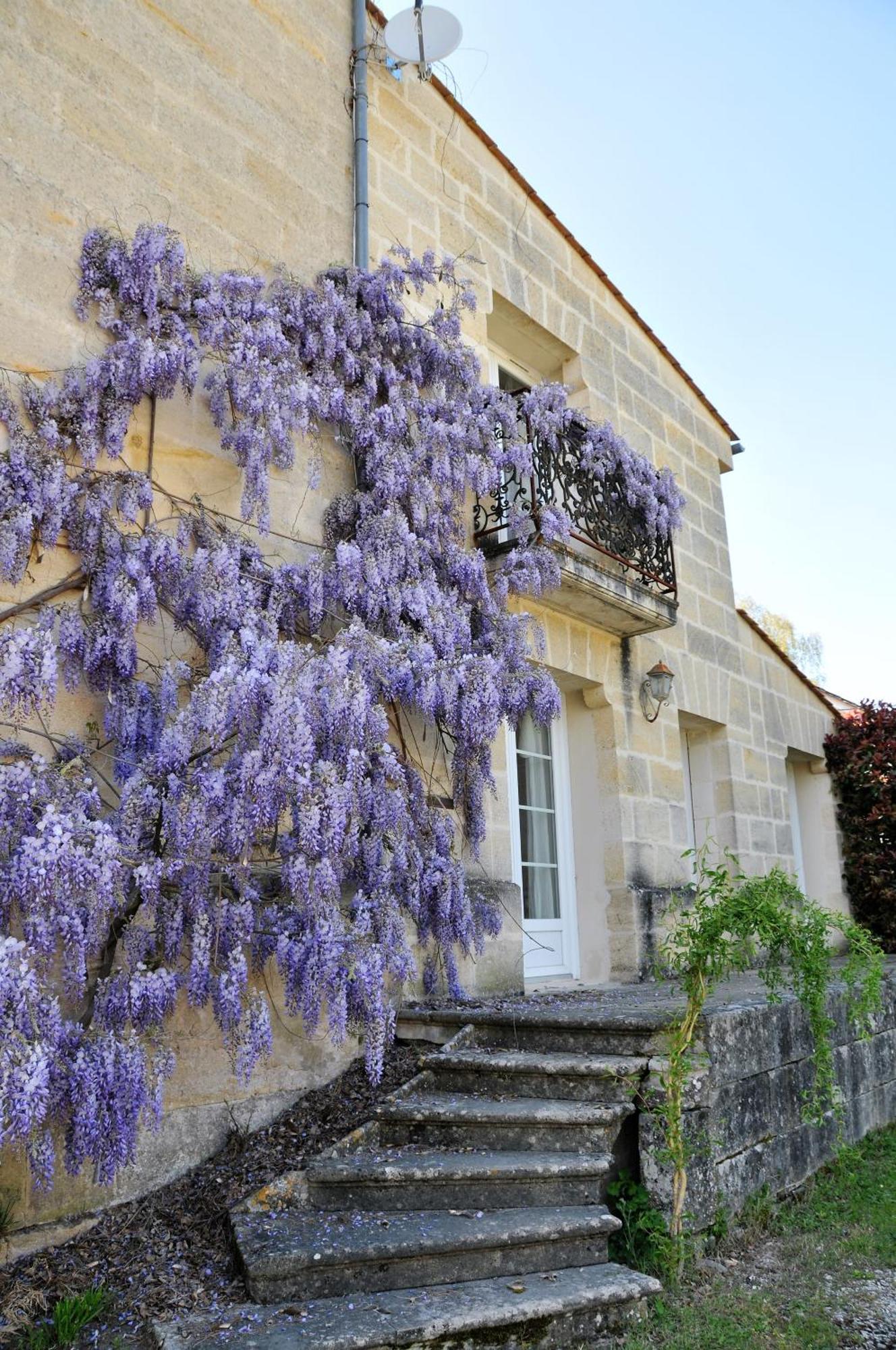 Buisson Gite Et Chambre D'Hote Laruscade Εξωτερικό φωτογραφία